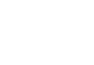 Hand-Picked Partners