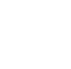 Village Juicery